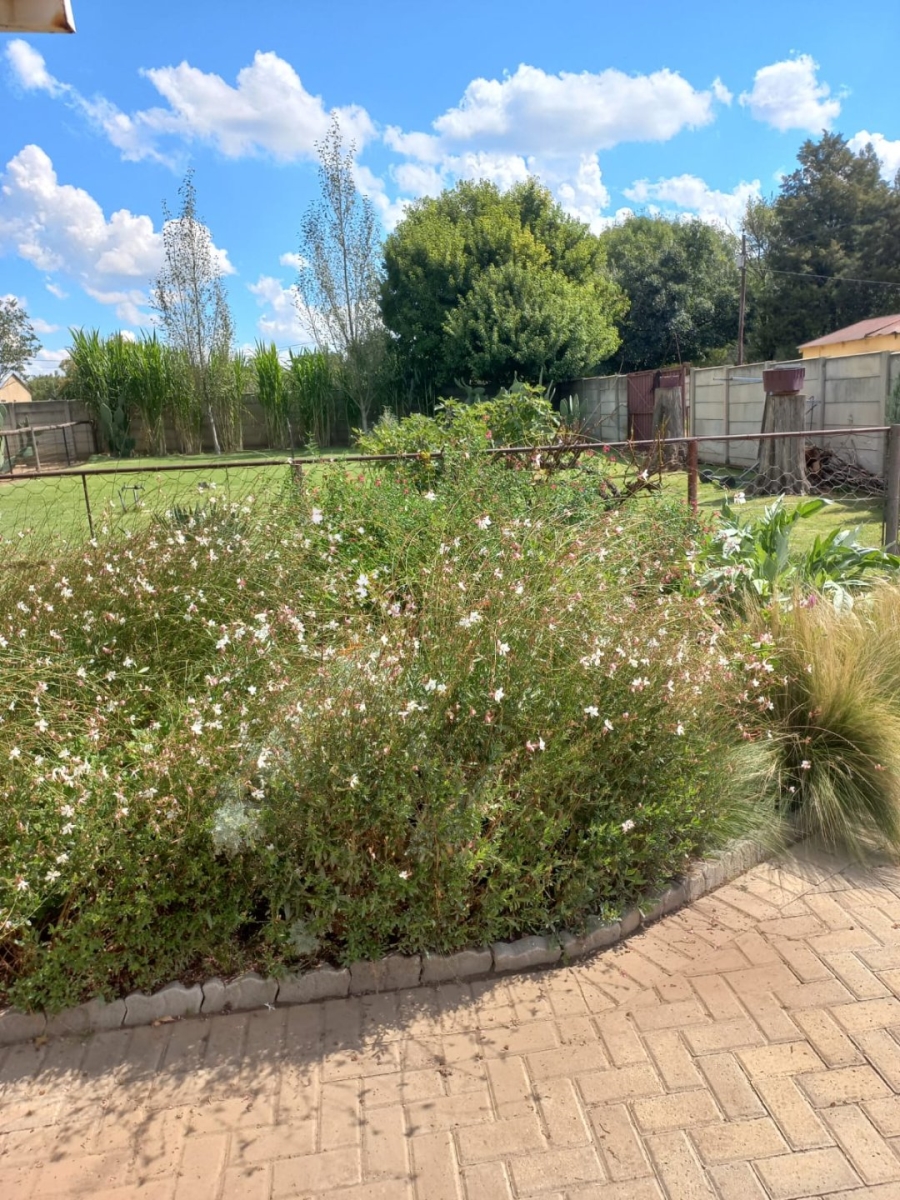 3 Bedroom Property for Sale in Senekal Free State